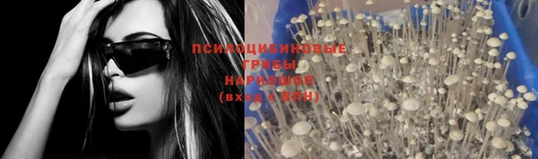 герыч Арсеньев