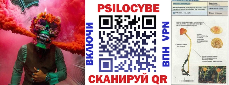 Псилоцибиновые грибы мицелий Билибино
